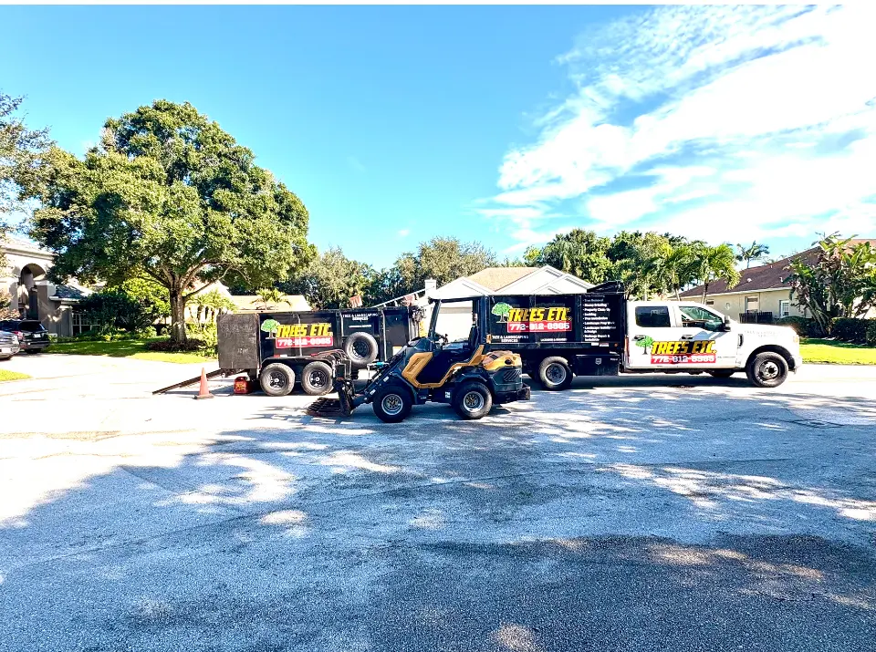 Tree Shaping Services In Port Salerno