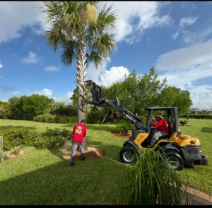 Tree Shaping Services in Palm City